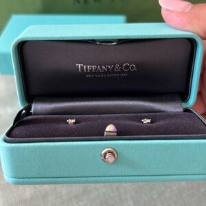 Tiffany & Co. Silver Stud Earrings in Iconic Blue Box
